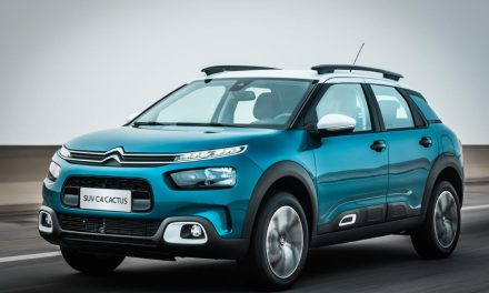 Com Cactus, Citroën dobra vendas e participação