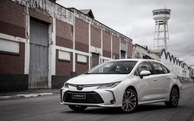 Novos híbridos flex darão relevância ao etanol