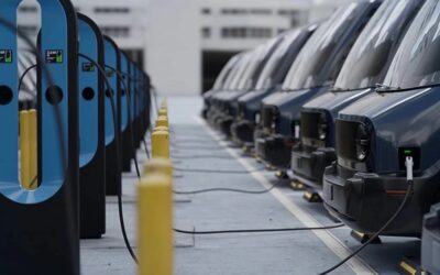 Vendas crescem 30%, é “tarde demais para voltar”