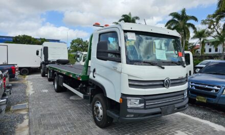 VW Delivery e Constellation chegam ao Suriname