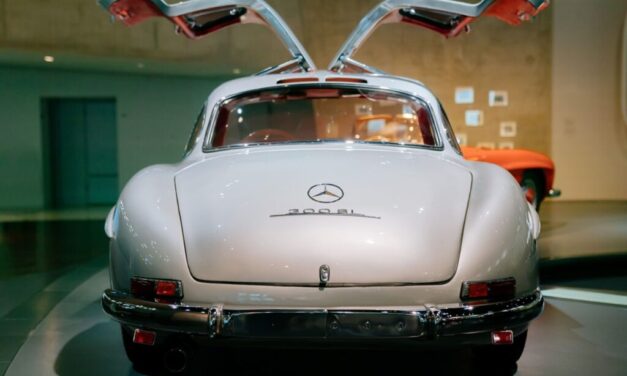 Zampa, preso pelas “gaivotas”