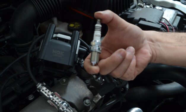 Quando fui rebatizado Chico “Reris”