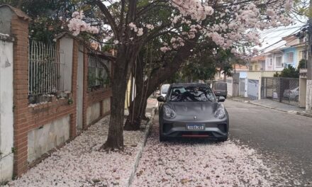 Ora, que linda primavera!