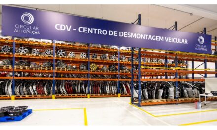 Seiscentos carros desmontados em seis meses