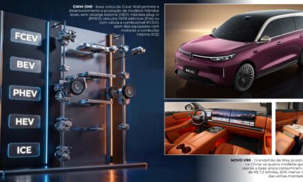 Plataforma única: sentença de morte para modelos atuais?